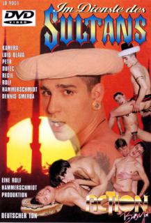 Im Dienste des Sultans aka 1001 Horny Nights 2 Capa